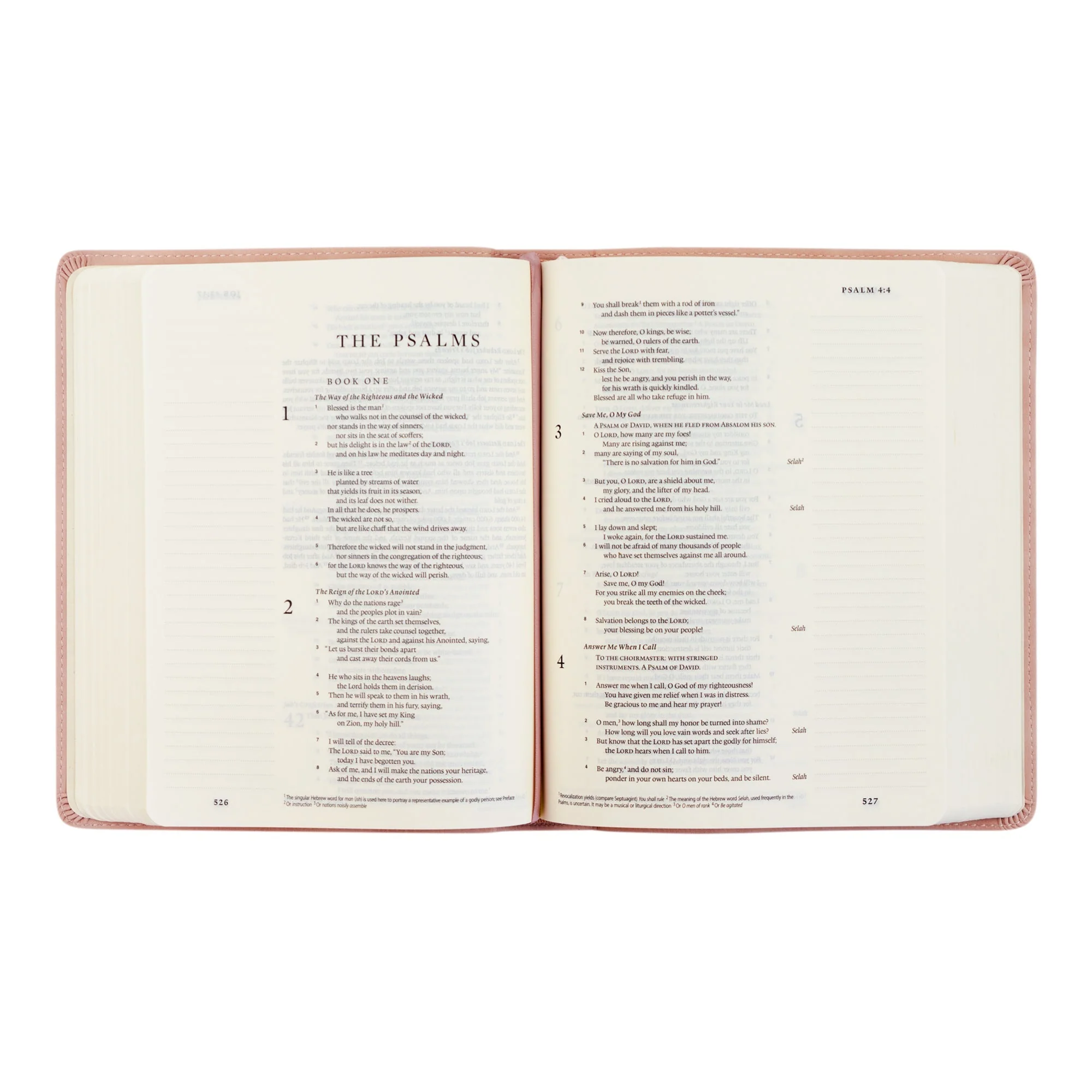 ESV Hosanna Revival Journaling Bible: Shiloh, Yorkshire, Hyde Park, Helena, and Seirra Theme - Image 5