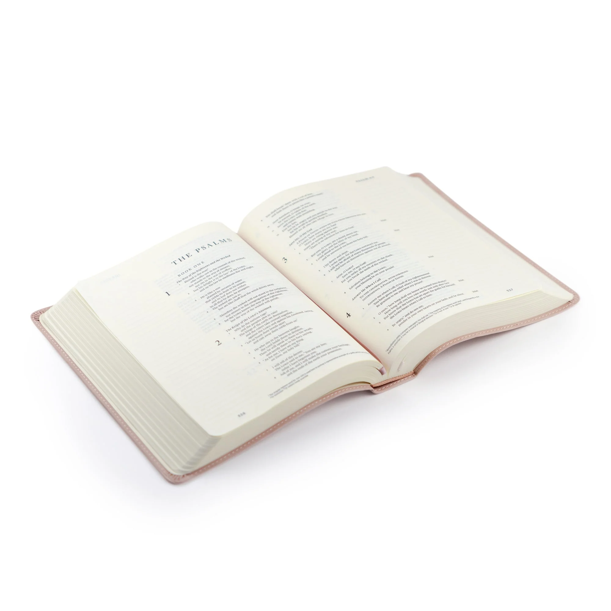 ESV Hosanna Revival Journaling Bible: Shiloh, Yorkshire, Hyde Park, Helena, and Seirra Theme - Image 6