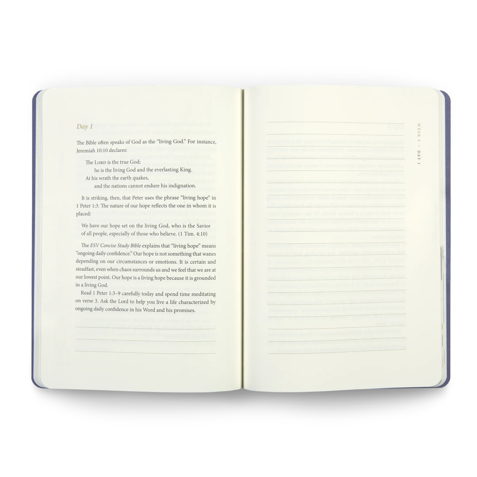 ESV Prayer Journal: 30 Days on Hope - Image 2