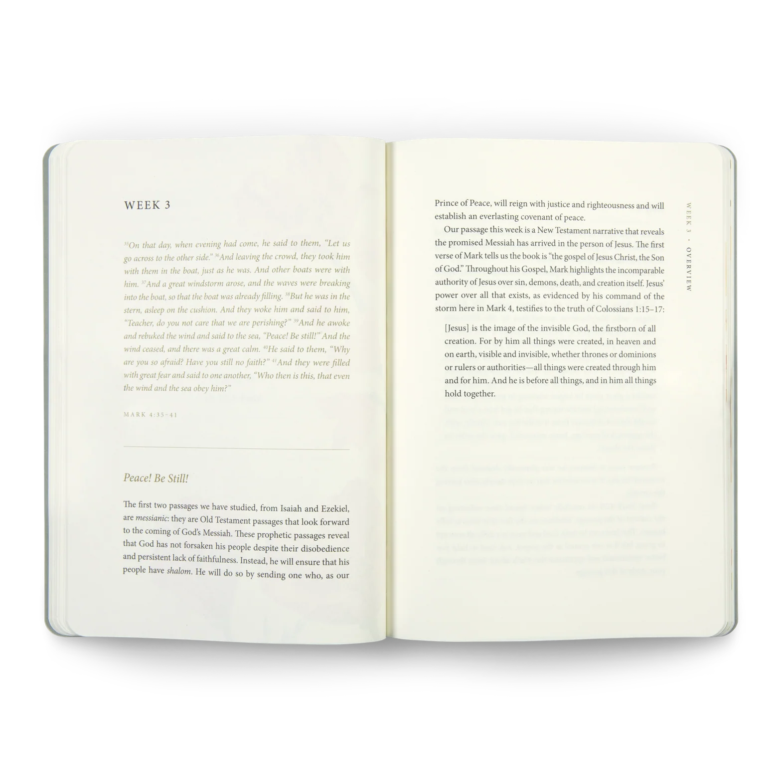 ESV Prayer Journal: 30 Days on Peace - Image 2