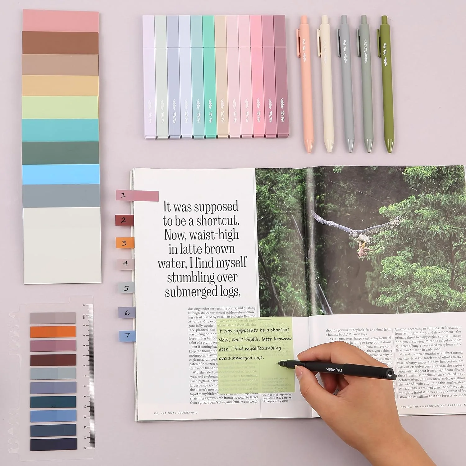 Mr. Pen- Aesthetic Book Annotation Kit, 38 pcs, Aesthetic Highlighters and Gel Pens - Image 5