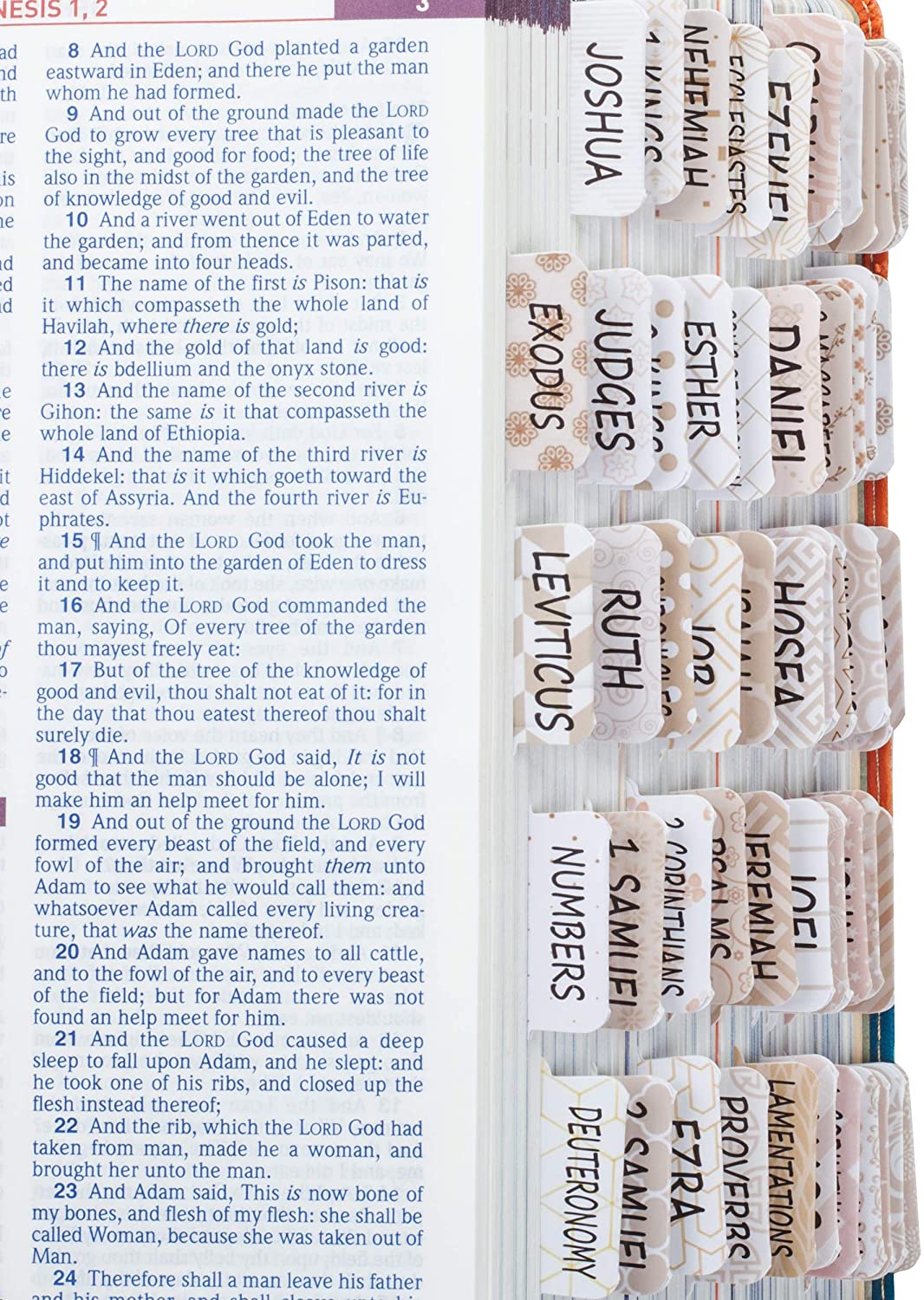 Bible Tabs for Catholic or Other Bibles, 75 Tabs, Laminated, Bible Journaling Supplies, Bible Tabs Old and New Testament, Bible Tabs for Women, Bible Tabs for Journaling Bible